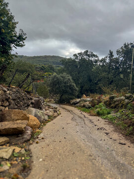 Sendero de monta&ntilde;a rodeado de &aacute;rboles y cercos de roca bajo un cielo nublado y gris