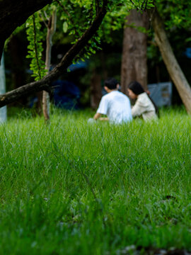 Blurred young couple sitting together on grass under a leafy tree in a park, sharp tree trunk and branches in foreground, peaceful romantic outdoor scene in soft sunlight