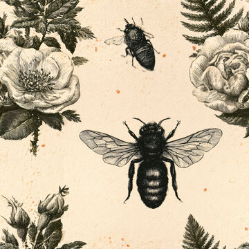 Vintage bee and flower seamless pattern with botanical engraving. Floral insect illustration for surface design and print. Nature inspired wallpaper, fabric and wrapping paper
