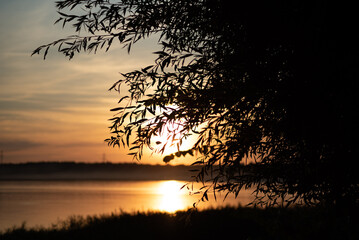 Willow Leaves in Close-Up with Sunset over a Lake © Izabela