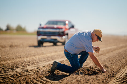 Farmer kneels in a cultivated field while checking soil.