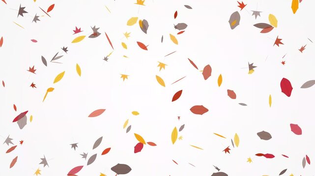 Minimalist flat design animated falling autumn leaves on white background for seasonal concept