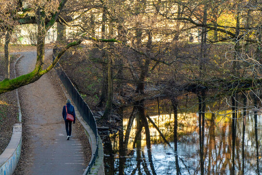 Person is walking a peaceful path beside the Akerselva river in Oslo, surrounded by autumn trees reflecting on the calm water under soft sunlight, creating a tranquil urban nature scene