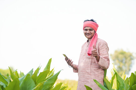 young indian farmer using smartphone at green turmeric field