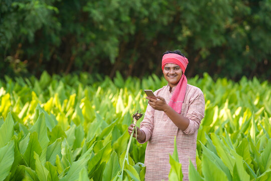 young indian farmer using smartphone at green turmeric field