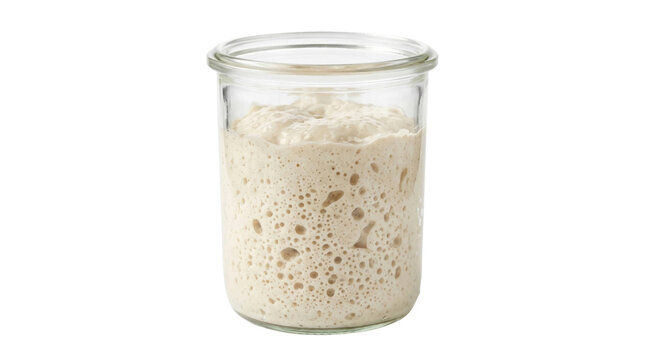 Active sourdough starter in glass jar on a transparent background