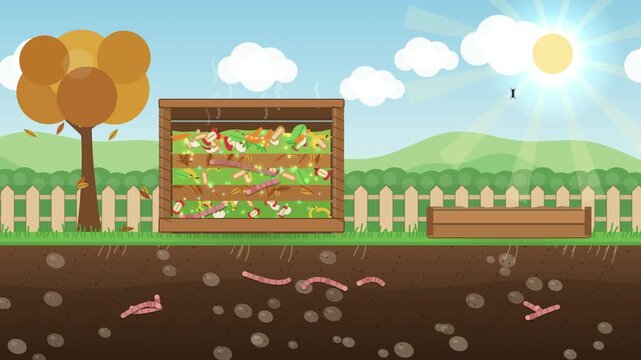 Composting food waste into soil, garden compost bin cross section with worms and growing plant, explainer animation 4K