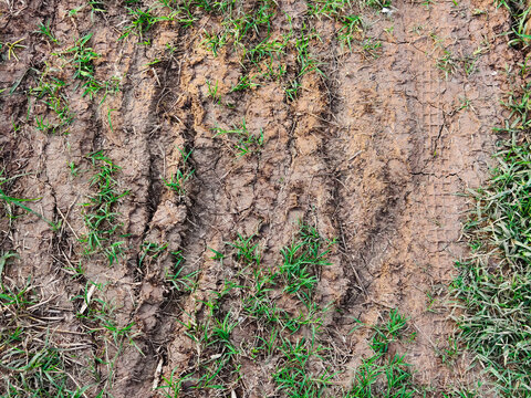 Top-down view of tire tracks imprinted on dry muddy soil with scattered green grass. Ideal for off-road travel, agriculture, background texture, and rural road concepts.