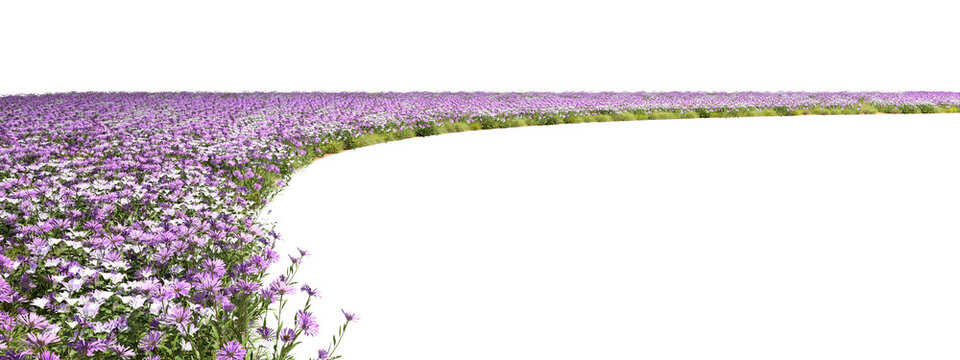 Blooms flowers fields curve landscaping isolated transparent backgrounds 3d illustrations png file