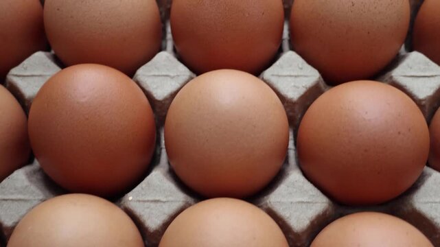 Fresh organic brown chicken eggs in cardboard tray