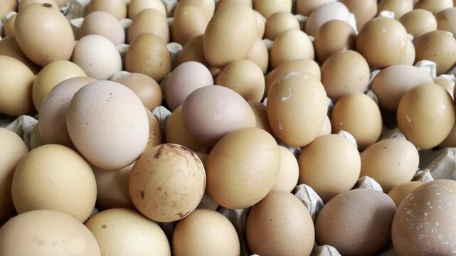 Detailed close up of fresh brown chicken eggs stored in cardboard tray package