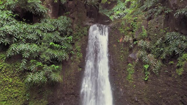 Azores island sao miguel waterfall immersing in nature