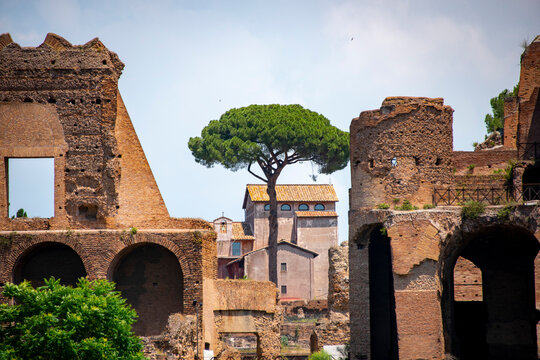 Ruins of the Domus Severiana on the Palatine Hill in Rome - Italy