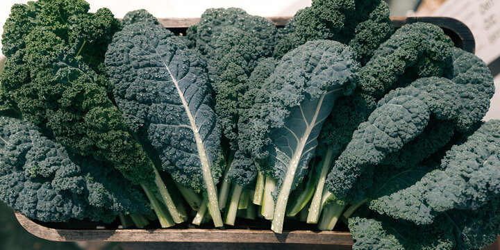 Fresh curly kale leaves in a rustic market crate under daylight with water droplets