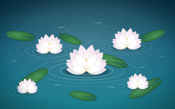 Lotus 