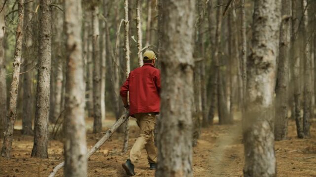 Man carries an axe while dragging heavy firewood through pine woodland, gathering fuel as he walks deeper into the forest.