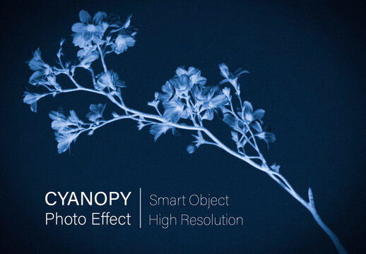 Cyanotype Blue Vintage Photo Effect