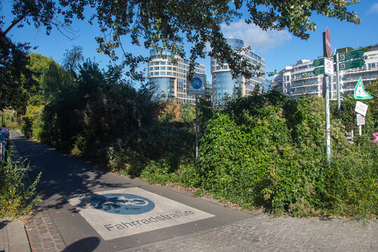 Tree-lined bicycle street in Berlin's Hansaviertel with modern buildings in the background