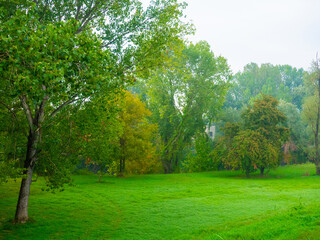 A scenic park with a lush, vibrant green grass lawn in the foreground © Mykola