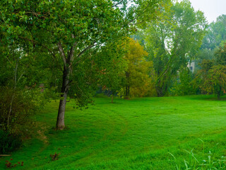 A scenic park with a lush, vibrant green grass lawn in the foreground © Mykola