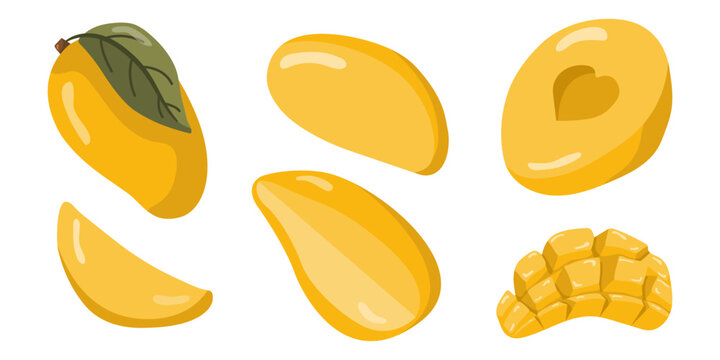 Vector set with ripe mango slices. Perfect for summer party designs, tropical festivals, and invitations.