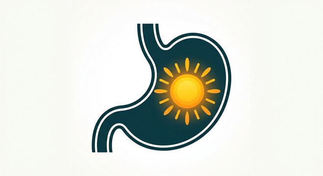 Stomach silhouette with glowing sun icon

