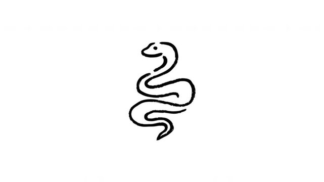 Snake Symbol For Reptile Identification And Wildlife Education Hand Drawn Doodle Animation. Serpent Icon And Animal Anatomy Reference. Nature Study Graphic For Educational Media.