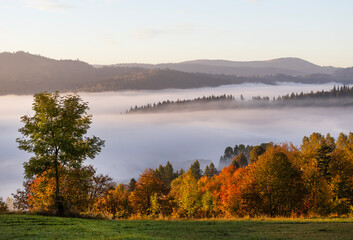 Jesienny poranek w górach, mgła w dolinie o wschodzie słońca. Laliki. Beskidy. Polska © mycatherina