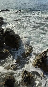 Foamy Sea Waves Rolling by Historic Coastal Fortress with Bird Flying