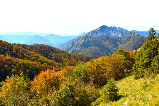 Yellow autumn colored forest of alpine foothills with Črna prst in the distance in Gorenjska, Slovenia