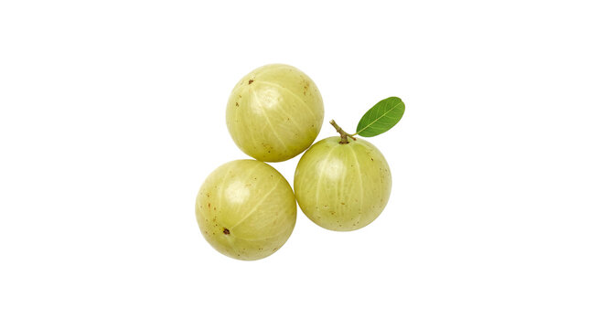Fresh amla green gooseberry fruits isolated on white background, organic indian gooseberry herbal medicine ingredient