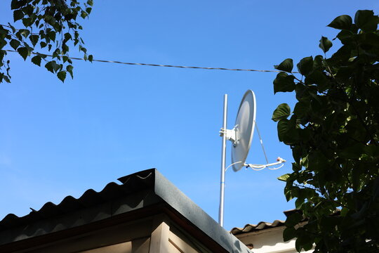 Satellite dish antenna mounted on a metal pole against clear blue sky framed by tree branches in telecommunication and broadcasting concept
