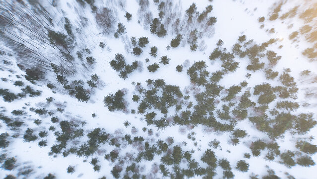 An overhead view reveals a dense expanse of snow-covered fir and pine across the Ural Mountains, Russia, where winter light traces the quiet canopy and untouched terrain of the remote taiga