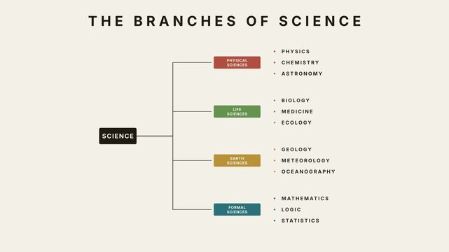 The branches of science infographic tree chart animation showing physical, life, earth, and formal sciences