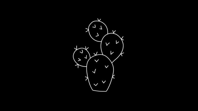 prickly pear cactus animation, a spiny cactus plant native to the Americas, cartoon doodle style, black background, 4K video motion graphics