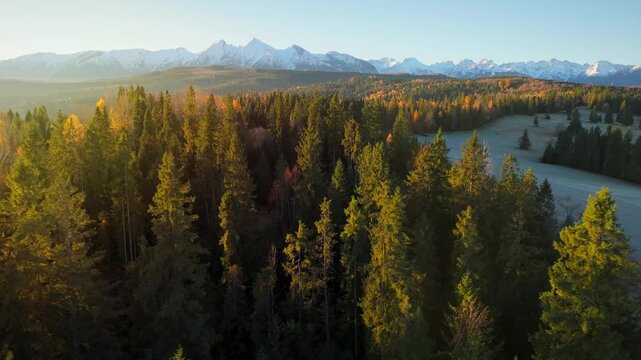 The breathtaking aerial view of beautiful nature in Tantra mountains in autumn