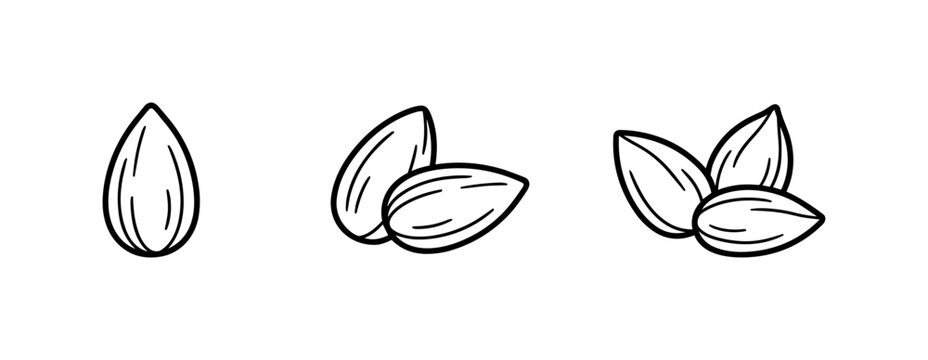 Hand drawn almond nuts set black outline illustration