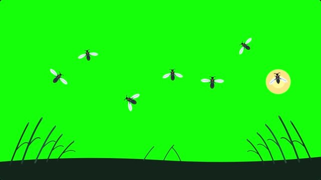 A Swarm of Animated Fireflies Dancing in a Night Meadow