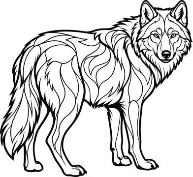 Detailed black and white line drawing of a majestic wolf standing in profile