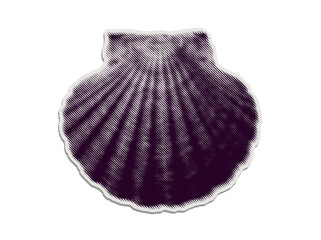Seashell sticker with halftone lines and cut paper texture on a transparent background © creatfive