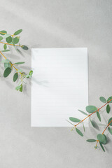 Blank Lined Letter Paper with Eucalyptus Leaves on Neutral Greige Background and Copy Space © 清美 小池