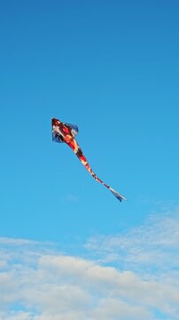 A Bright colorful kite flying high in the clear blue sky with soft white clouds, fun outdoor leisure activity. Large red and orange kite in the shape of a Koi carp flies. Japanese vibe. Sunny day. 4K.