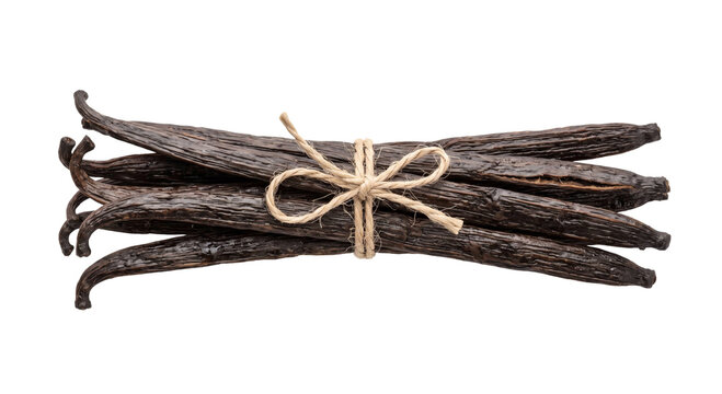 Bundle of dark vanilla bean pods tied with natural twine against a black background