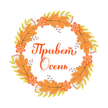 Hello fall calligraphy lettering in Russian. Inspirational autumn quote Cyrillic inscription. Vector template for typography poster, banner, mug, shirt design, etc.