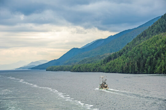 Fishing Trawler Cruising Alaska's Inside Passage
