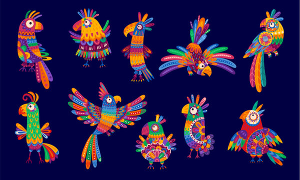 Cartoon Mexican parrot birds. Vector set of cute tropical animal species with bright plumage, ornate patterns, beaks and feather crests. Playful pets standing, dancing and flying with spread wings