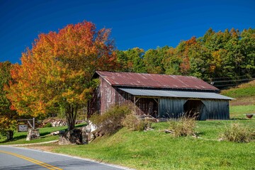 fall foliage against a barn © mark
