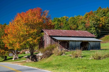 fall foliage against a barn © mark