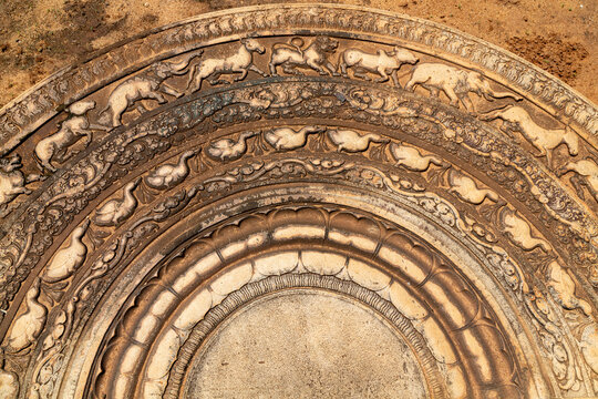 Ancient carved moonstone with rows of animals and lotus petals, North Central Province, Anuradhapura, Sri Lanka