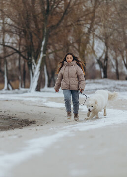 A girl walks with her beloved pet Samoyed in winter on the shore of a lake in the park.